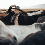 Дикий Запад в пикселях: творческий анализ слота Mustang Gold